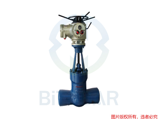 電站專用閥門